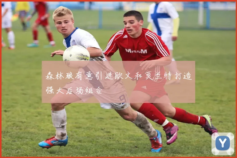 森林狼有意引进欧文和莫兰特打造强大后场组合